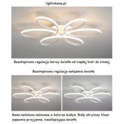 Lampa sufitowa do salonu