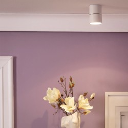 nowoczesna lampa punktowa spot biała ze zmienną barwą światła według potrzeb