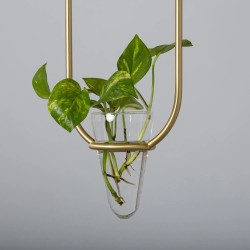 Kwiatek w Lampie Wiszącej Złotej z mleczną Kulą